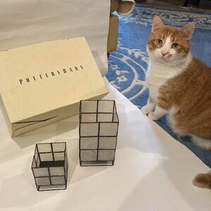 Pottery Barn Shell Lanterns